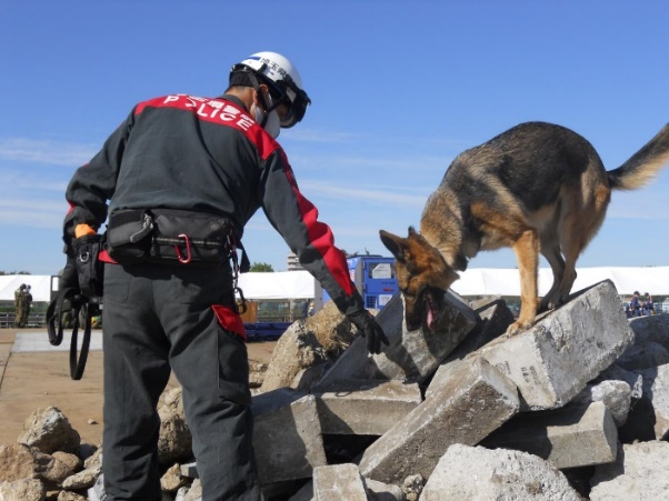 警備犬