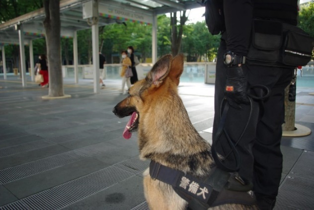 警備犬待機