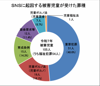 SNS起因罪種