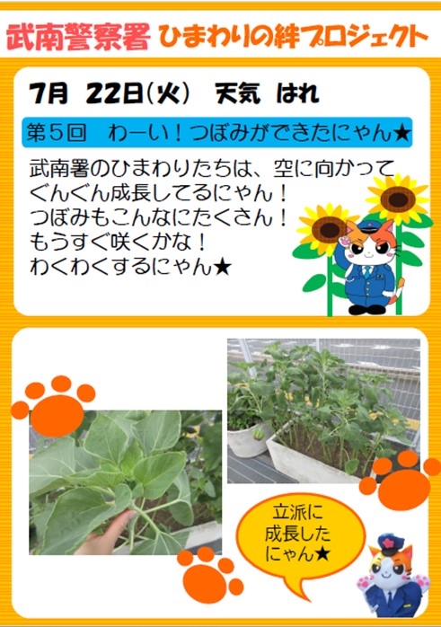 ひまわりその5