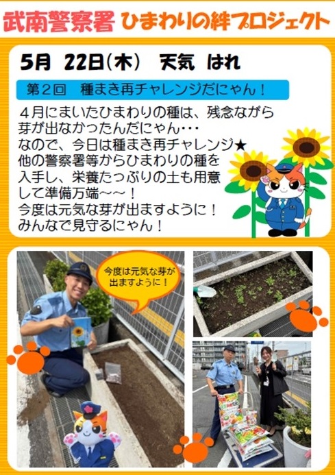 ひまわり