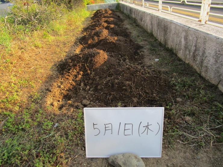 令和7年5月1日本庄ひまわりの絆プロジェクト1