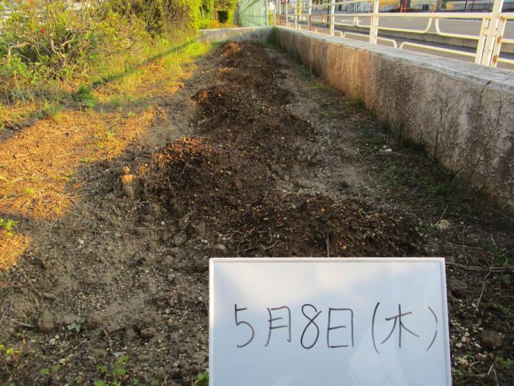 令和7年5月8日本庄ひまわりの絆プロジェクト1
