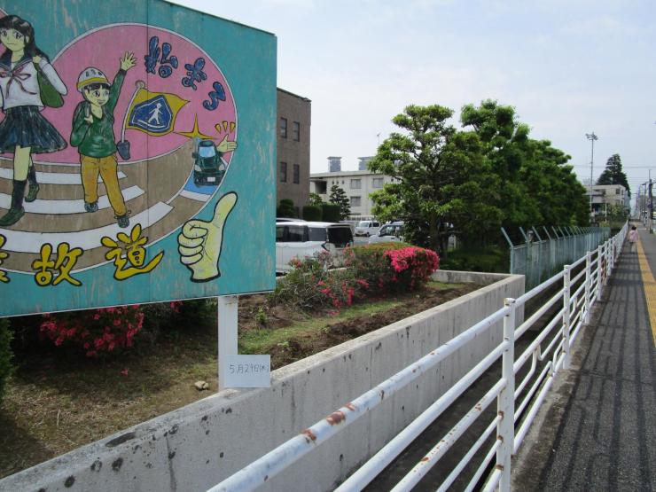 令和7年5月29日本庄ひまわりの絆プロジェクト1