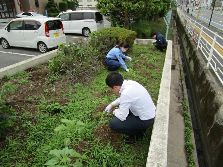 令和7年6月12日本庄ひまわりの絆プロジェクト1
