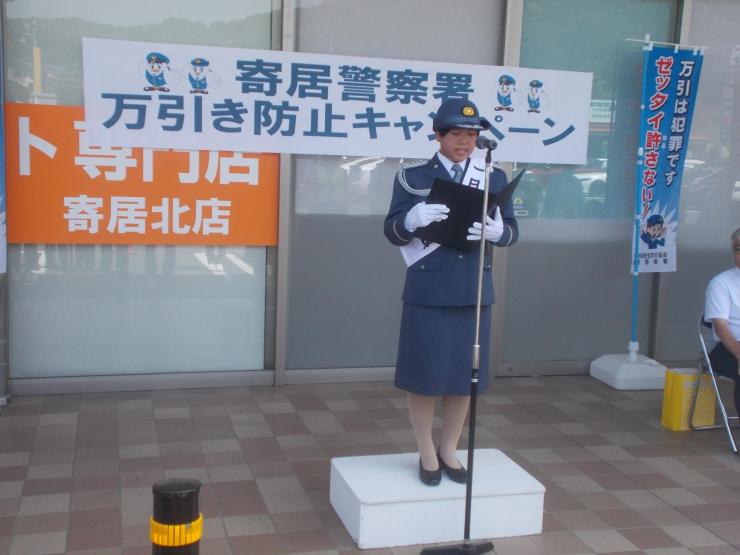 写真1