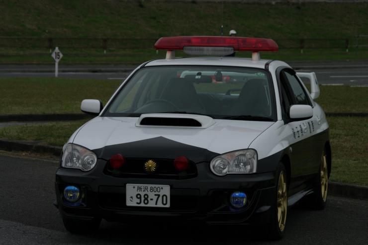 写真1