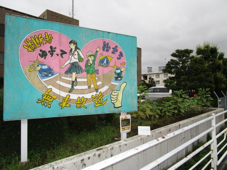 令和7年7月11日、本庄ひまわりの絆プロジェクト1