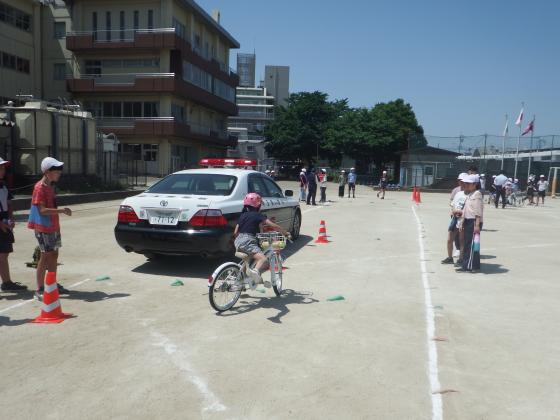 自転車免許