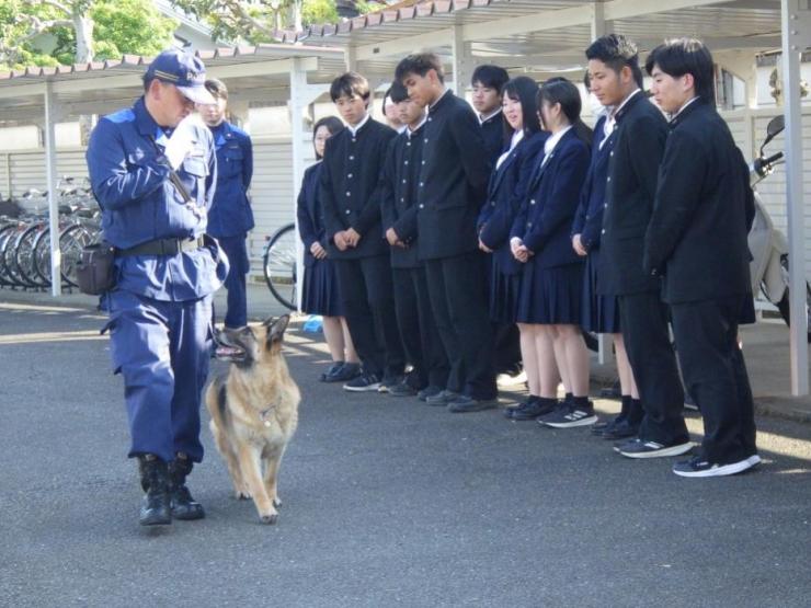 警察犬