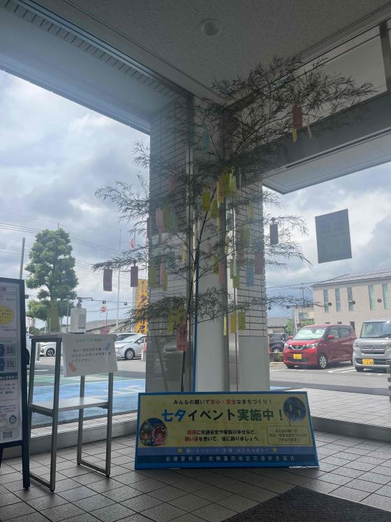 写真1